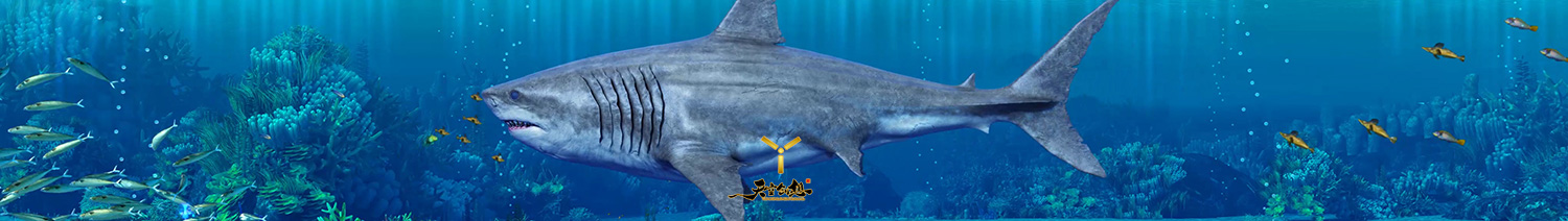 巨齿鲨首映礼(图1)